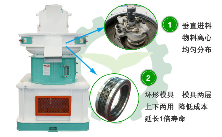 生物质麻豆传媒网站图片