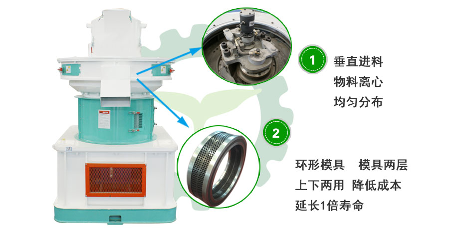 环模麻豆传媒网站图片