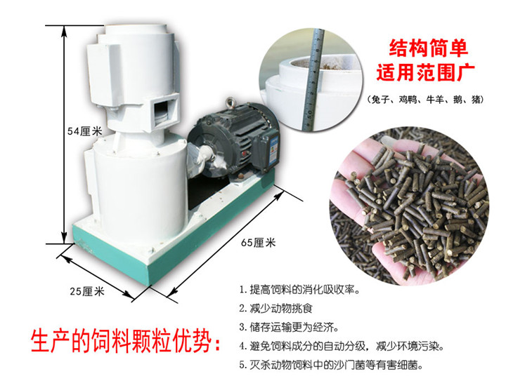 麻豆传媒网站优势