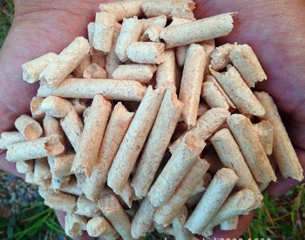 生物质燃料麻豆传媒网站械
