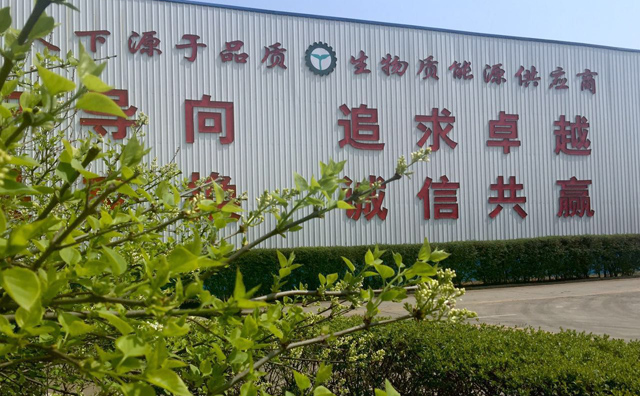 生物质麻豆传媒网站械