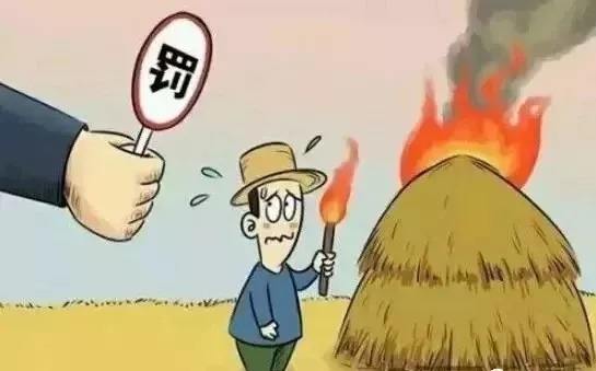 生物质麻豆传媒网站械