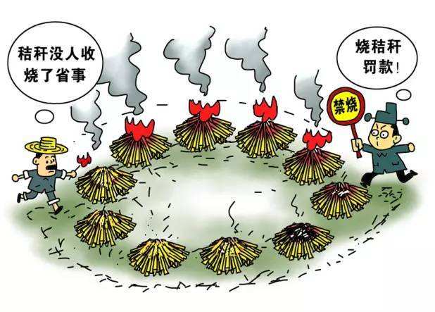 生物质麻豆传媒网站械