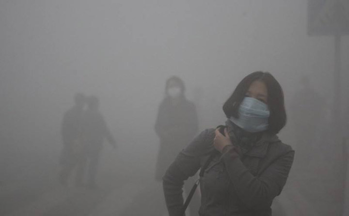 生物质麻豆传媒网站械