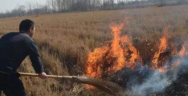 生物质麻豆传媒网站械