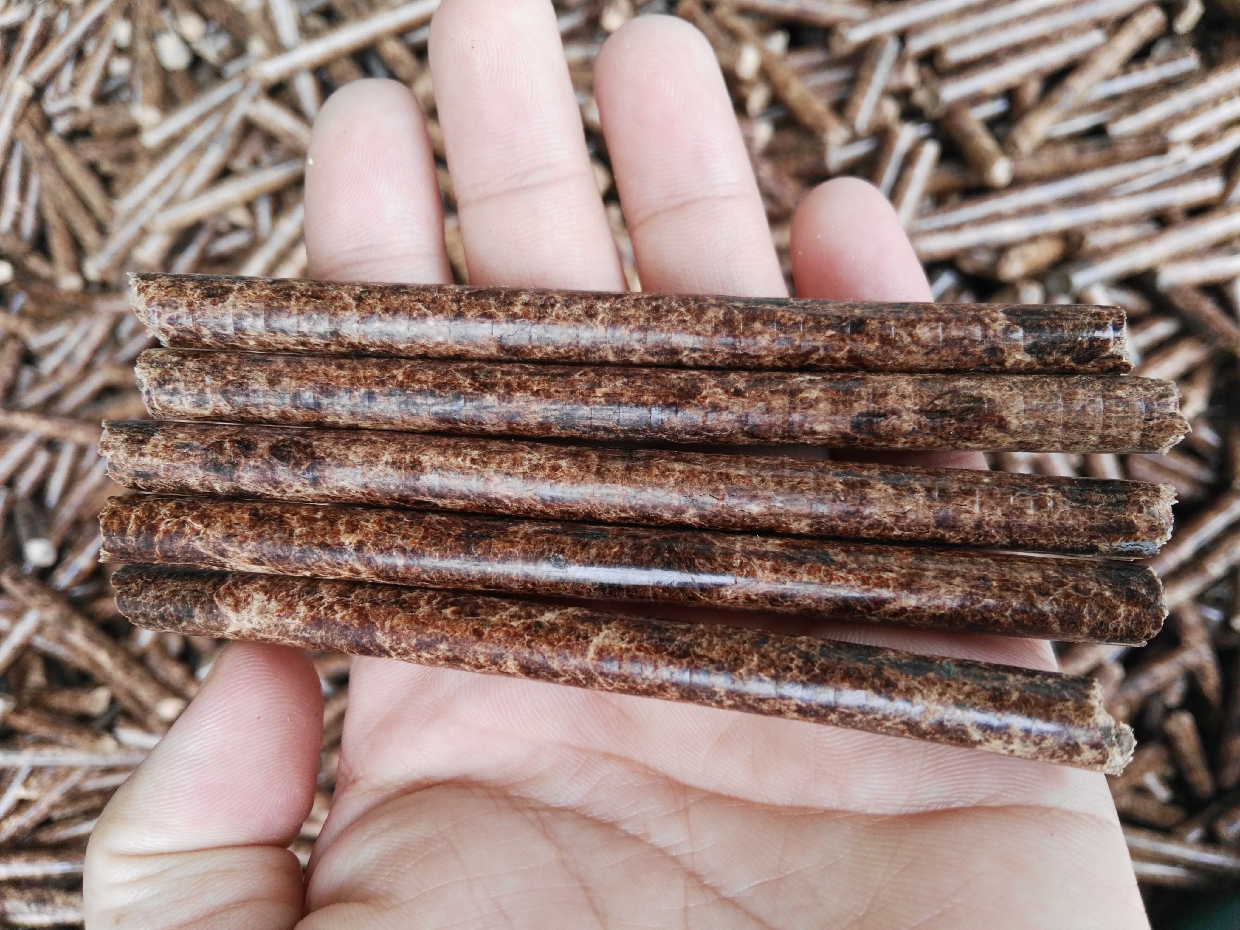 生物质麻豆传媒网站械