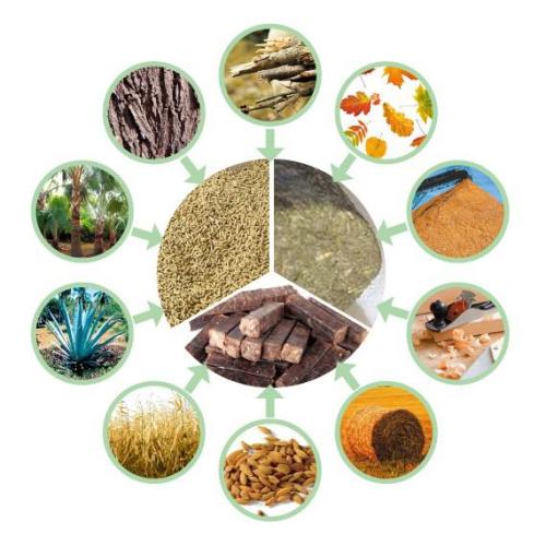 生物质麻豆传媒网站械