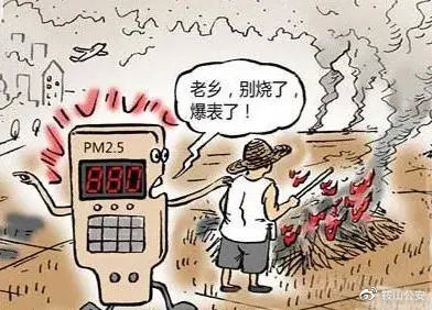 生物质麻豆传媒网站械
