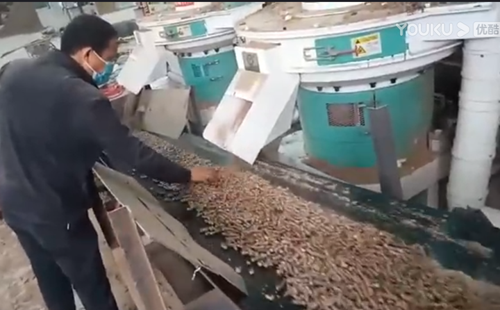 山西张总检查麻豆传媒网站制粒情况