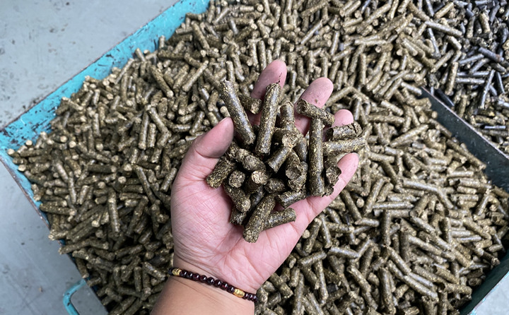 生物质燃料麻豆传媒网站的颗粒燃料