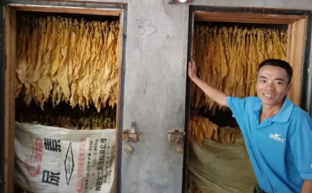 生物质麻豆传媒网站颗粒燃料烤烟