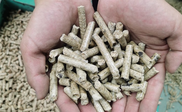生物质麻豆传媒网站加工的燃料颗粒