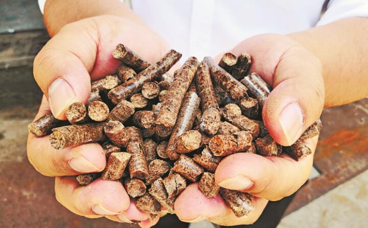 推广生物质燃料利用，农林业废弃物变成“宝贝疙瘩”