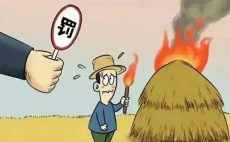 秸秆禁烧怎么办？秸秆麻豆传媒网站帮您变废为宝！
