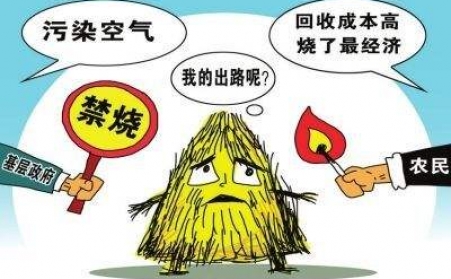 黑龙江秸秆麻豆传媒网站把秸秆从包袱变回宝贝！