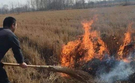 生物质麻豆传媒网站解决了农村大难题！