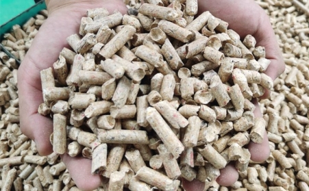 河南生物质麻豆传媒网站燃料与其他燃料的区别