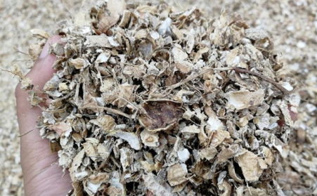 为什么有人愿意花钱买生物质燃料麻豆传媒网站来加工稻壳花生壳呢？有必要吗？