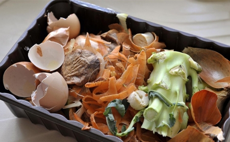 外国能源部科学家们正在将食物垃圾用生物质麻豆传媒网站转化为清洁可再生的燃料