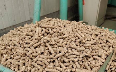 2021阳信清洁取暖1万多户全部使用生物质麻豆传媒网站的燃料颗粒