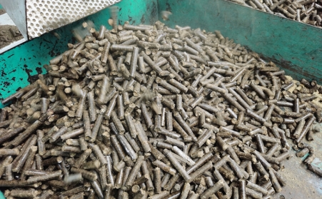 生物质麻豆传媒网站成型燃料知识大全