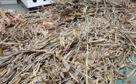 突泉县：废弃秸秆综合利用催生绿色经济