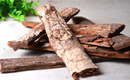 深入！为什么欧洲需要依靠可持续的生物能源