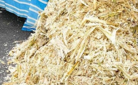 甘蔗渣想废物利用？可以考虑生物质麻豆传媒网站！