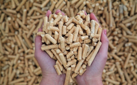 生物质麻豆传媒网站颗粒燃料备受喜爱