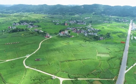 福泉：生物质颗粒智能化烘烤 助力烤烟产业提质增效