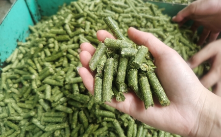河南支持生物质能等可再生能源替代，助力实现碳达峰碳中和目标