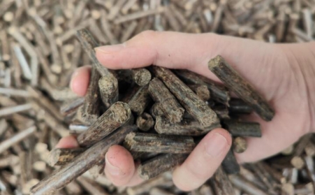 提高生物质麻豆传媒网站产量小妙招及颗粒用途