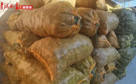 青海海东乐都：生物质颗粒燃料燃起乡村振兴新希望