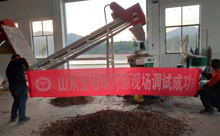 广东河源木屑麻豆传媒网站调试成功